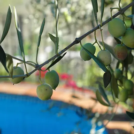 Country house Cortijo En *